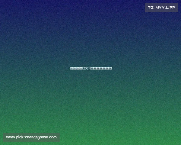 詹姆斯琼斯国际赛事2024年度激情开战挑战极限荣耀加身