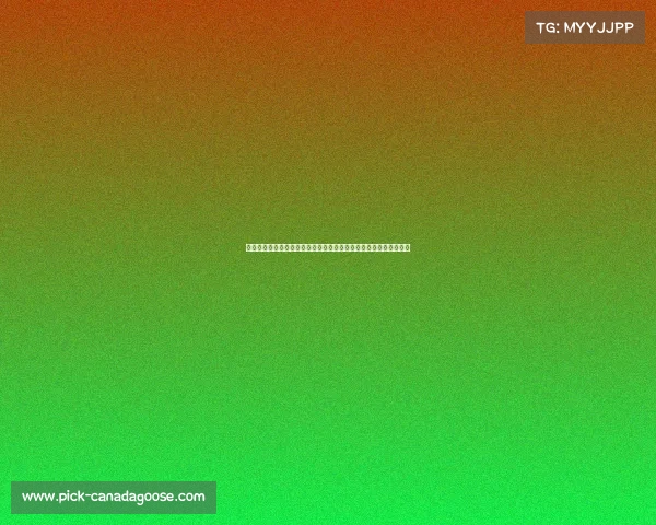 国际曲棍球邀请赛火热开启全球顶尖球队齐聚一堂激情上演精彩对决