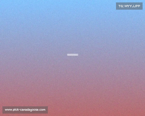 篮球比赛最近的赛事